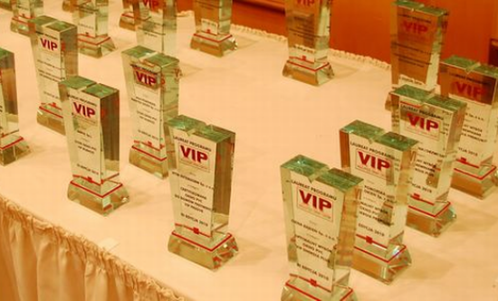 Velux laureatem nagród IV edycji programu VIP